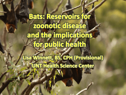 Bats: Reservoirs for zoonotic disease and the implications for public