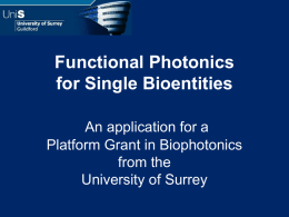 Functional Photonics for Single Bioentities a biophotonics Platform