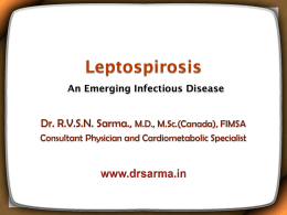 Leptospirosis by Dr Sarma