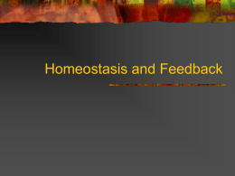 Homeostasis and Feedback PowerPoint