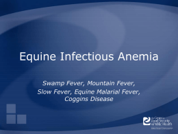 Equine-Infectious-Anemia - The Center for Food Security and