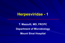 Herpes Viruses - Infectious Diseases