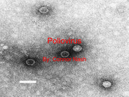 Polio_virus