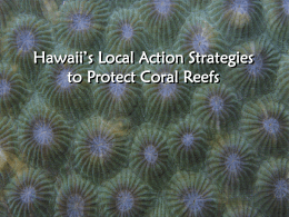 Hawaii’s Local Action Strategies to Protect Coral Reefs