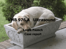 VMB 976 A Ultrasound - Nc State University