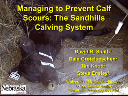 Infectious disease triad - Range Beef Cow Symposium XXII
