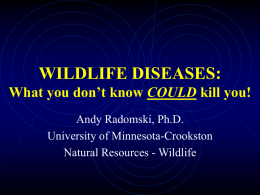 WILDLIFE DISEASES: What you don’t know COULD kill you!