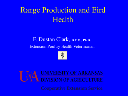 Extension Poultry Health Veterinary Program