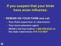 Where does H5N1 come from? - North Carolina Cooperative