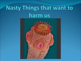 Nasty Things that want to harm us
