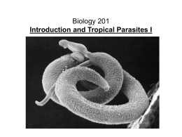 Biology 201 Introduction and Tropical Parasites I