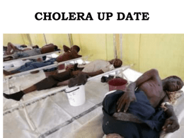 04 Feb 2016 - Cholera Up date