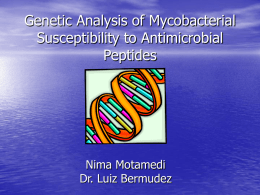 Genetic Analysis of Mycobacterium Smegmatis for Antibiotic