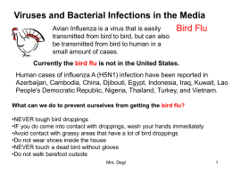 Infections in the Media