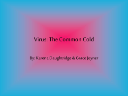 Virus: The Common Cold