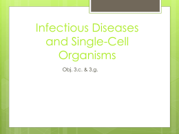 Infectious Cells & Single Cell Organisms