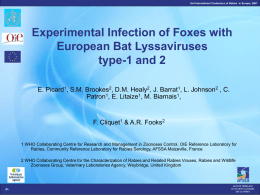(Vulpes vulpes) to European bat lyssaviruses types-1 and
