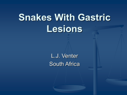 Gastric cryptosporidiosis in snakes