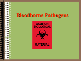Bloodborne Pathogens What Are Bloodborne Pathogens?
