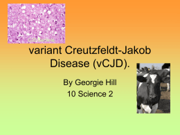 variant Creutzfeldt-Jakob Disease (vCJD). - 10Science2-2010