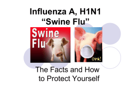 Influenza A, H1N1 (swine flu)
