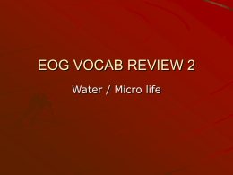 EOG VOCAB REVIEW 2