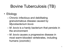 BovineTuberculosis-English