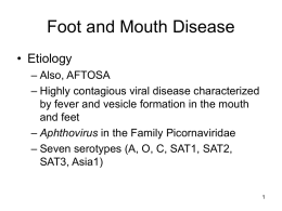 Bovine Foot and Mouth Disease