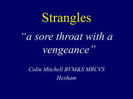 BHS_Strangles