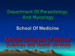 Department Of Parasitology & Mycology School Of Medicine