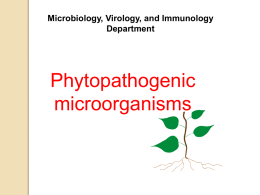 09 Phytopathogenic microorganisms