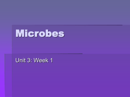 Microbes_PP