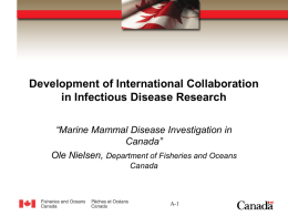 Marine Mammal Disease Investigation in Canada