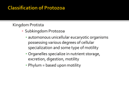 Classification of Protozoa