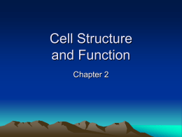 Cell Structure and Function - Mrs. Gann`s 6th grade class