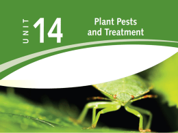 HORTICULTURE_files/Unit 14 - Plant Pests and Treatment
