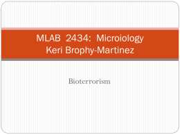 MLAB 2434: Clinical Microiology Keri Brophy-Martinez