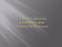 eo_003.06_treat_mycoplasma,chlamydia