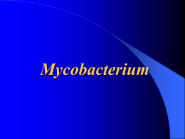 Mycobacterium ---