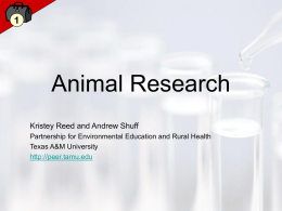 Animal Research - PEER