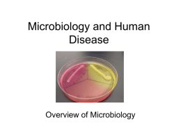 Overview of Microbiology