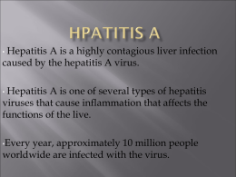 hepatitis a virus - Kardz Medicine | Better Information | Healthy living