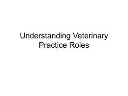 Understanding Veterinary
