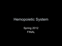 Hemopoietic System - El Camino College