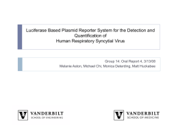 Luciferase Based Plasmid Reporter System for the