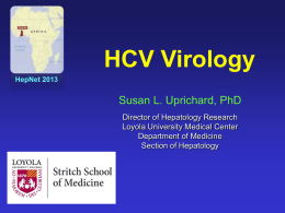 HCV Virology Simplified. S Uprichard, PhD