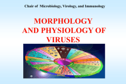 Morphology_and_physiology_of_viruses