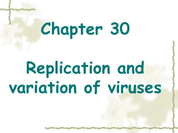 multiplication and variation of viruses