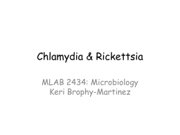 Chapter 24: Chlamydia & Rickettsia