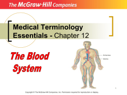The Blood System - s3.amazonaws.com